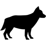 Câini